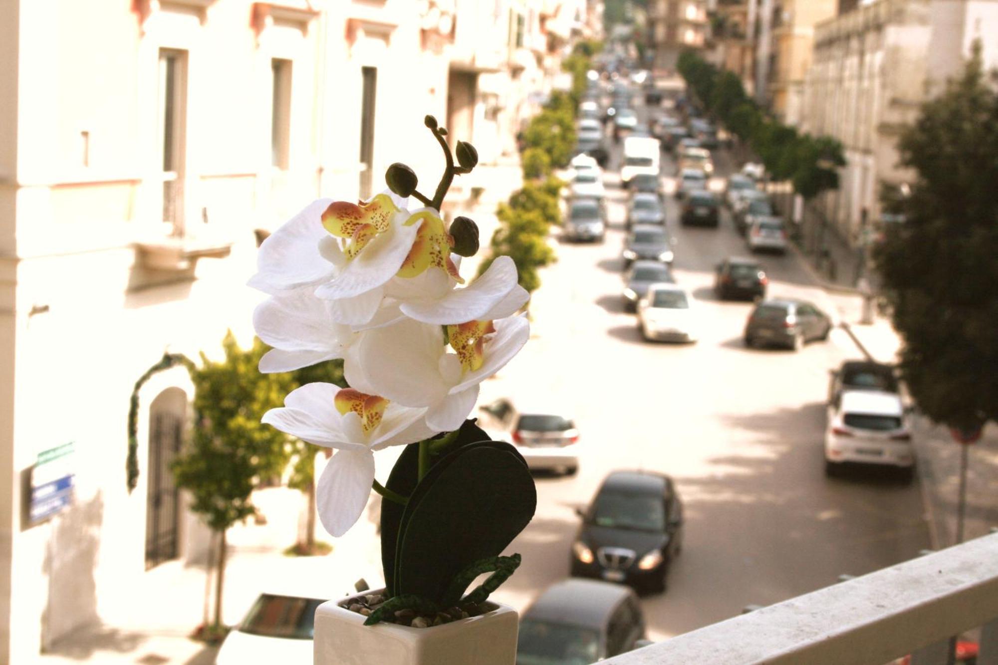 Dimore Demetra Canosa di Puglia Εξωτερικό φωτογραφία